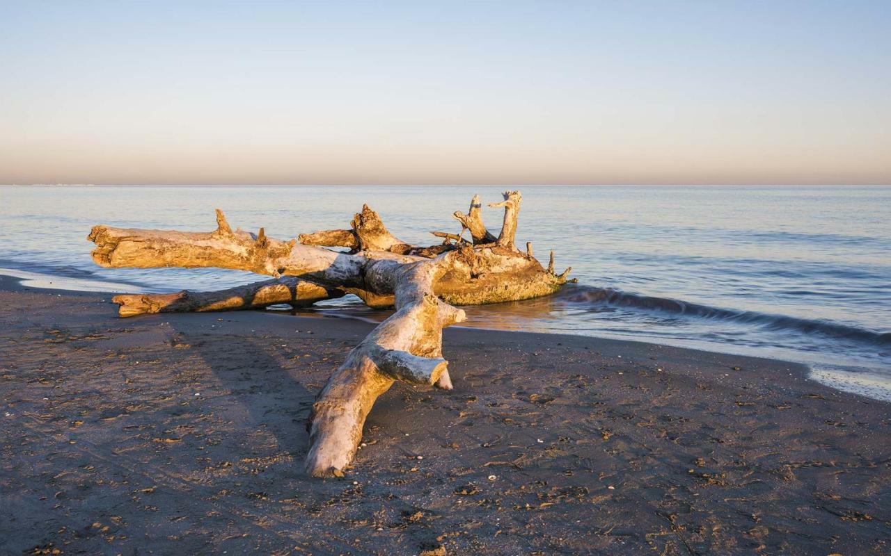 Camping Horizon Bar Frontignan Bagian luar foto